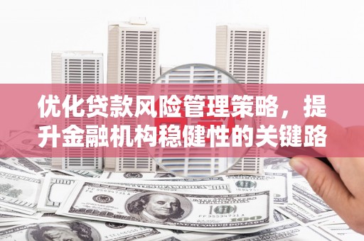 故城优化贷款风险管理策略，提升金融机构稳健性的关键路径