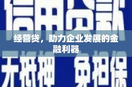 故城经营贷，助力企业发展的金融利器