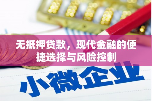 故城无抵押贷款，现代金融的便捷选择与风险控制