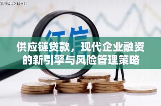 故城供应链贷款，现代企业融资的新引擎与风险管理策略