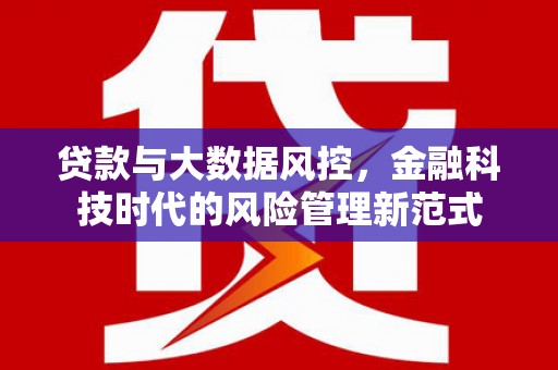 故城贷款与大数据风控，金融科技时代的风险管理新范式