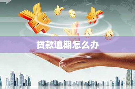 故城贷款逾期怎么办