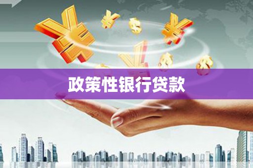 故城政策性银行贷款