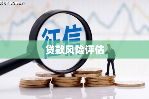 故城贷款风险评估
