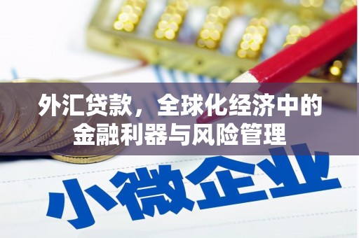 故城外汇贷款，全球化经济中的金融利器与风险管理