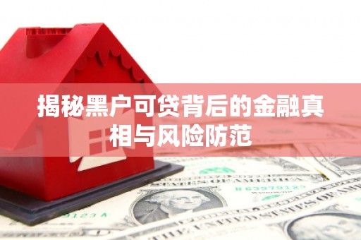 故城揭秘黑户可贷背后的金融真相与风险防范