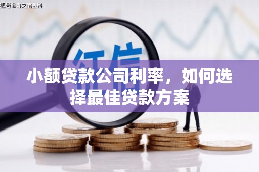 故城小额贷款公司利率，如何选择最佳贷款方案