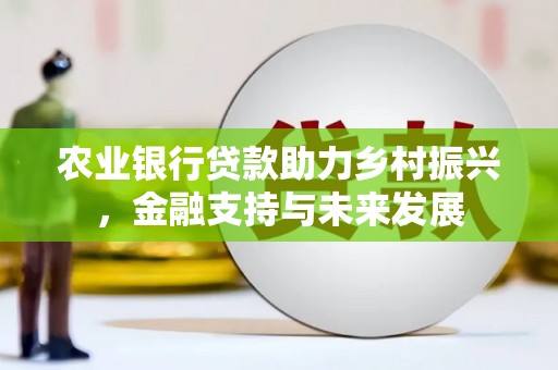 故城农业银行贷款助力乡村振兴，金融支持与未来发展