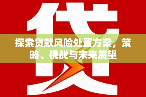 故城探索贷款风险处置方案，策略、挑战与未来展望