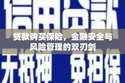 故城贷款购买保险，金融安全与风险管理的双刃剑