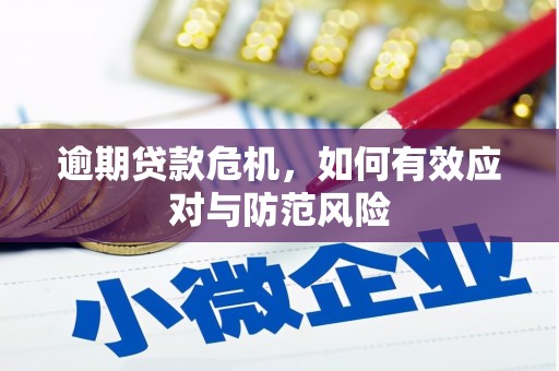 故城逾期贷款危机，如何有效应对与防范风险