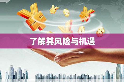 故城了解其风险与机遇