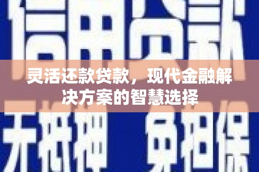 故城灵活还款贷款，现代金融解决方案的智慧选择