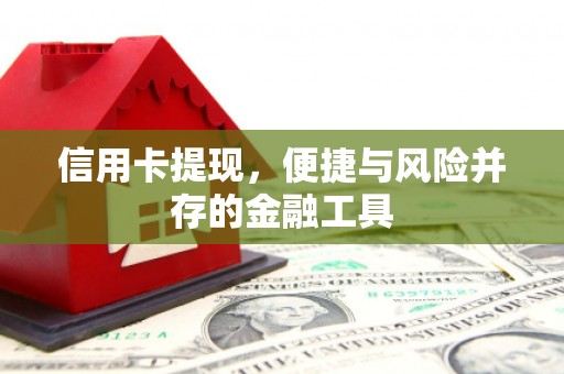 故城信用卡提现，便捷与风险并存的金融工具