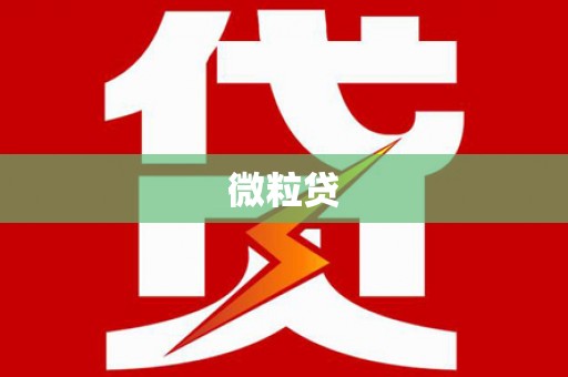 故城微粒贷