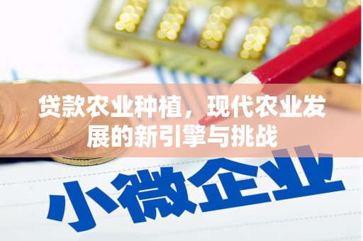 故城贷款农业种植，现代农业发展的新引擎与挑战