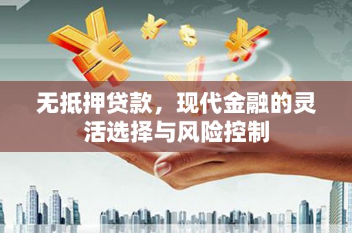 故城无抵押贷款，现代金融的灵活选择与风险控制