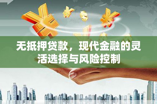 故城无抵押贷款，现代金融的灵活选择与风险控制