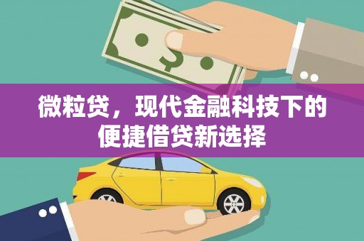 故城微粒贷，现代金融科技下的便捷借贷新选择