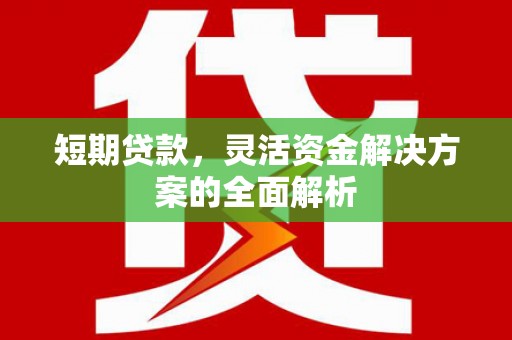 故城短期贷款，灵活资金解决方案的全面解析