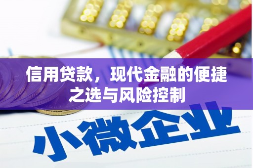 故城信用贷款，现代金融的便捷之选与风险控制