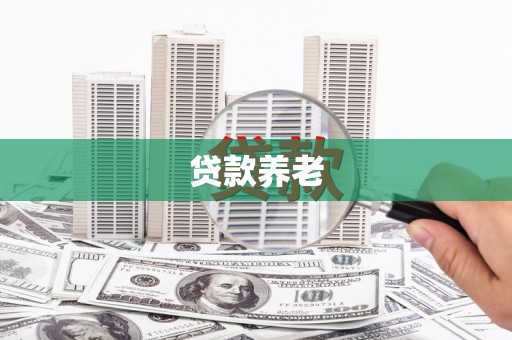 故城贷款养老