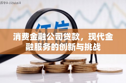 故城消费金融公司贷款，现代金融服务的创新与挑战