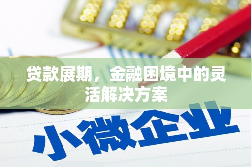 故城贷款展期，金融困境中的灵活解决方案