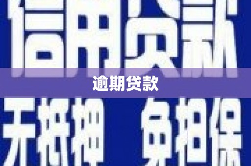 故城逾期贷款