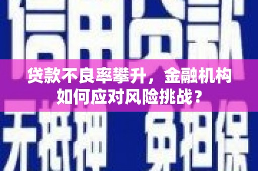 故城贷款不良率攀升，金融机构如何应对风险挑战？
