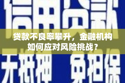 故城贷款不良率攀升，金融机构如何应对风险挑战？