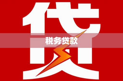 故城税务贷款