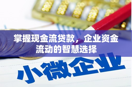 故城掌握现金流贷款，企业资金流动的智慧选择