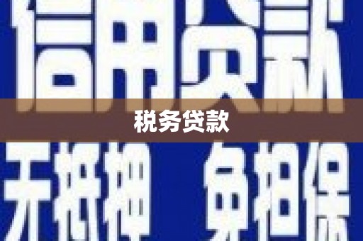 故城税务贷款