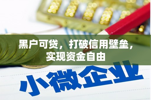 故城黑户可贷，打破信用壁垒，实现资金自由