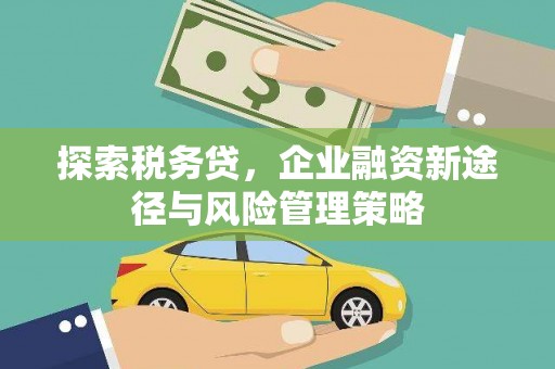 故城探索税务贷，企业融资新途径与风险管理策略