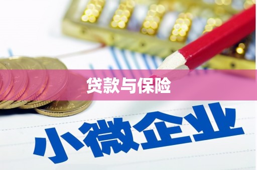 故城贷款与保险