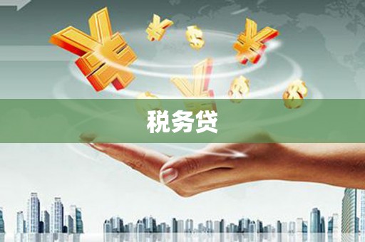 故城税务贷