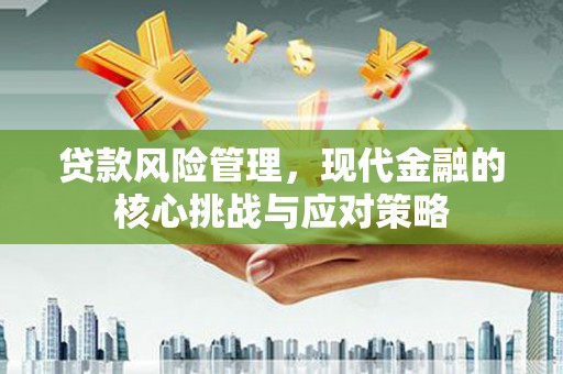 故城贷款风险管理，现代金融的核心挑战与应对策略