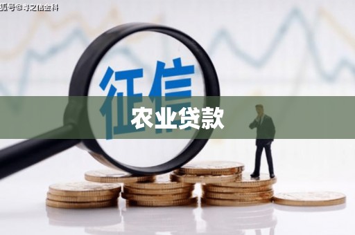 故城农业贷款