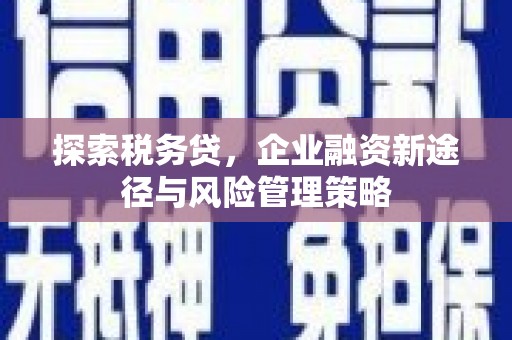 故城探索税务贷，企业融资新途径与风险管理策略
