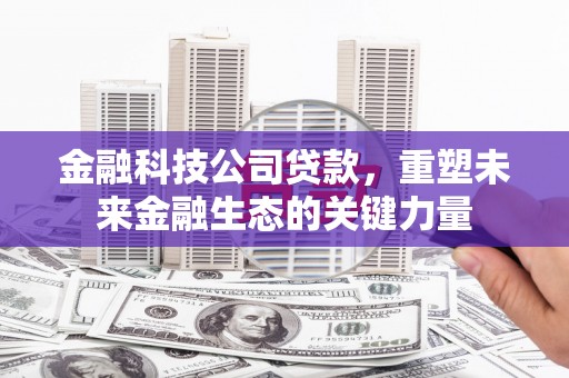 故城金融科技公司贷款，重塑未来金融生态的关键力量