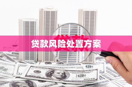 故城贷款风险处置方案