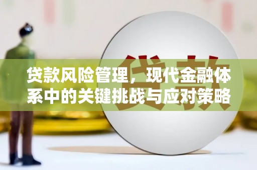 故城贷款风险管理，现代金融体系中的关键挑战与应对策略