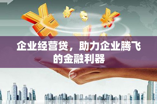 故城企业经营贷，助力企业腾飞的金融利器