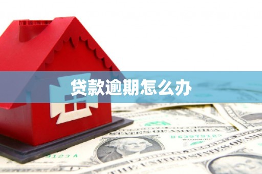 故城贷款逾期怎么办