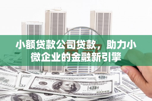 故城小额贷款公司贷款，助力小微企业的金融新引擎
