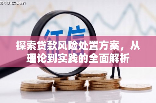 故城探索贷款风险处置方案，从理论到实践的全面解析