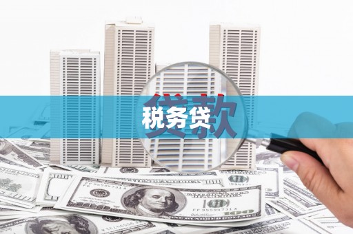 故城税务贷