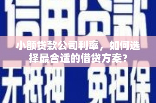 故城小额贷款公司利率，如何选择最合适的借贷方案？